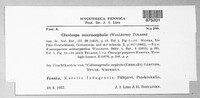 Claviceps purpurea image
